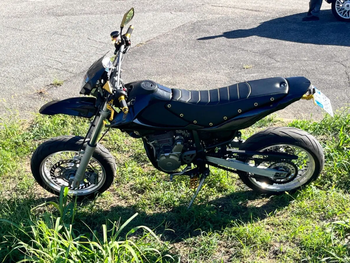 Betamotor Motard 4.0 M4 (2006 - 11) (13)
