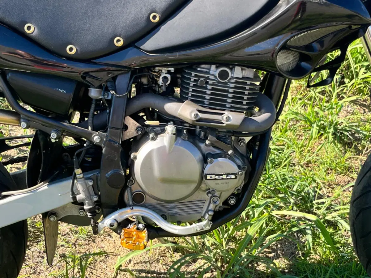 Betamotor Motard 4.0 M4 (2006 - 11) (15)