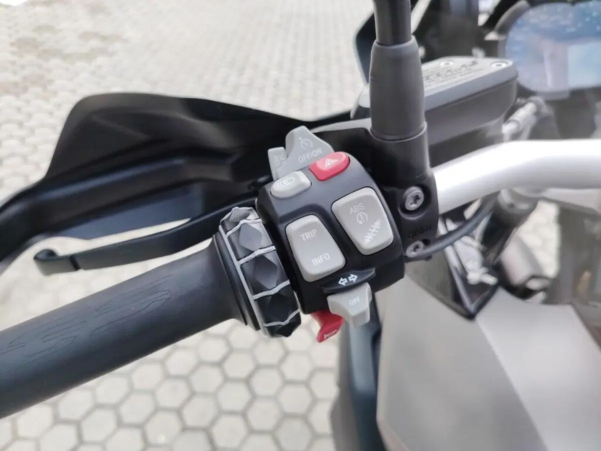 Bmw R 1200 GS (2017 - 18) (9)