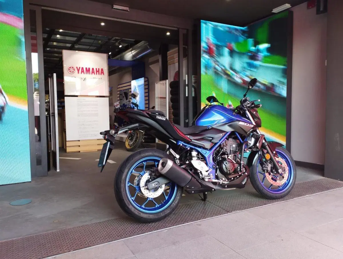 Yamaha MT-03 (2018 - 19) (2)