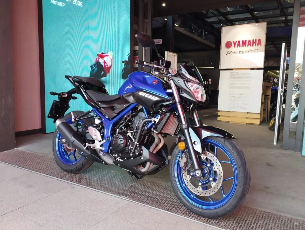 Yamaha MT-03 (2018 - 19) (3)
