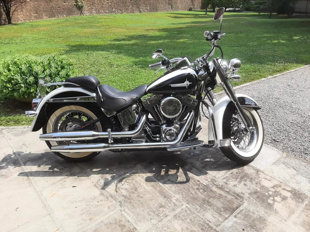 Harley-Davidson 1450 Deluxe (2005 - 06) - FLSTNI (2)