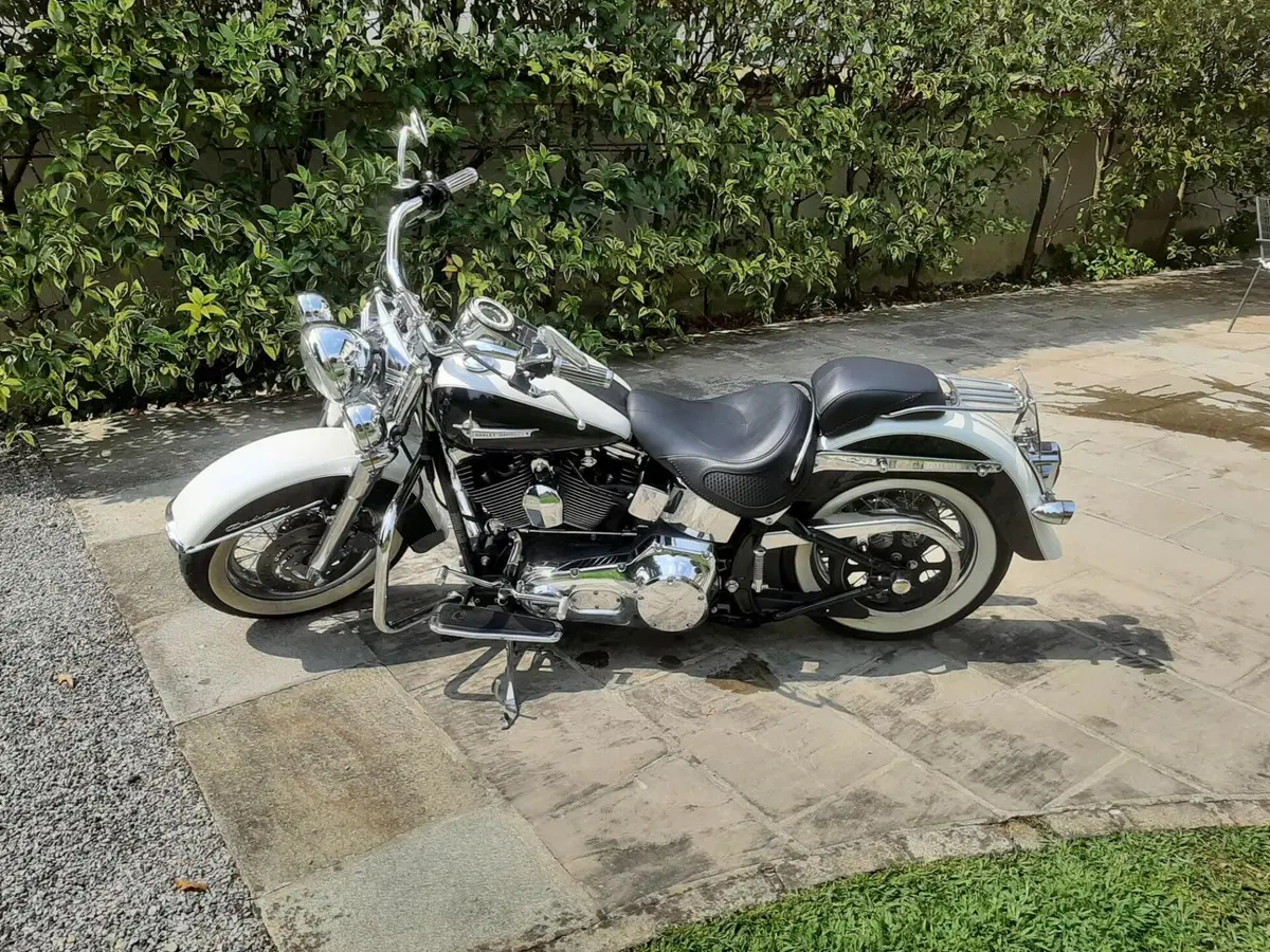 Harley-Davidson 1450 Deluxe (2005 - 06) - FLSTNI (3)