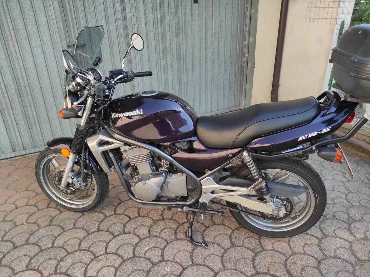 Kawasaki ER-5 500 (2001 - 06) (3)