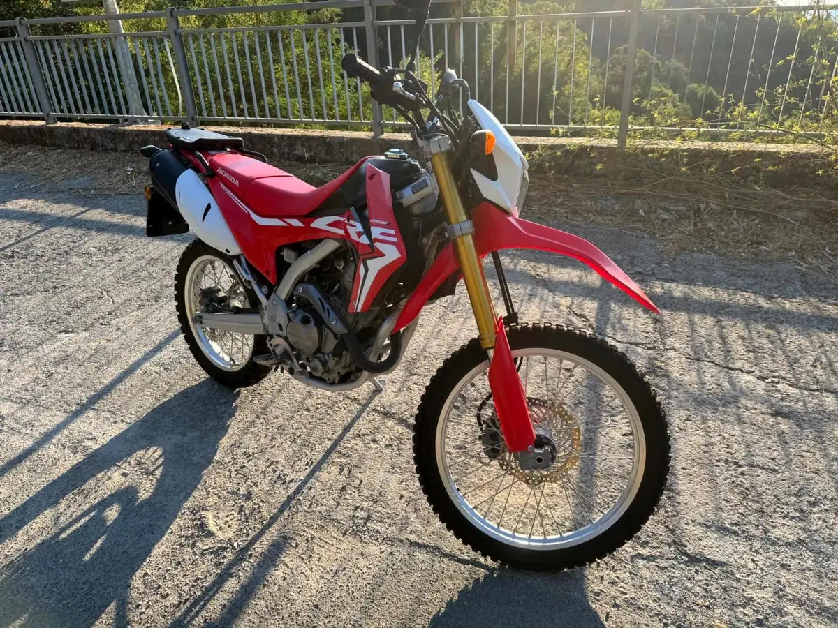 Honda CRF 250L (2017 - 20) (6)