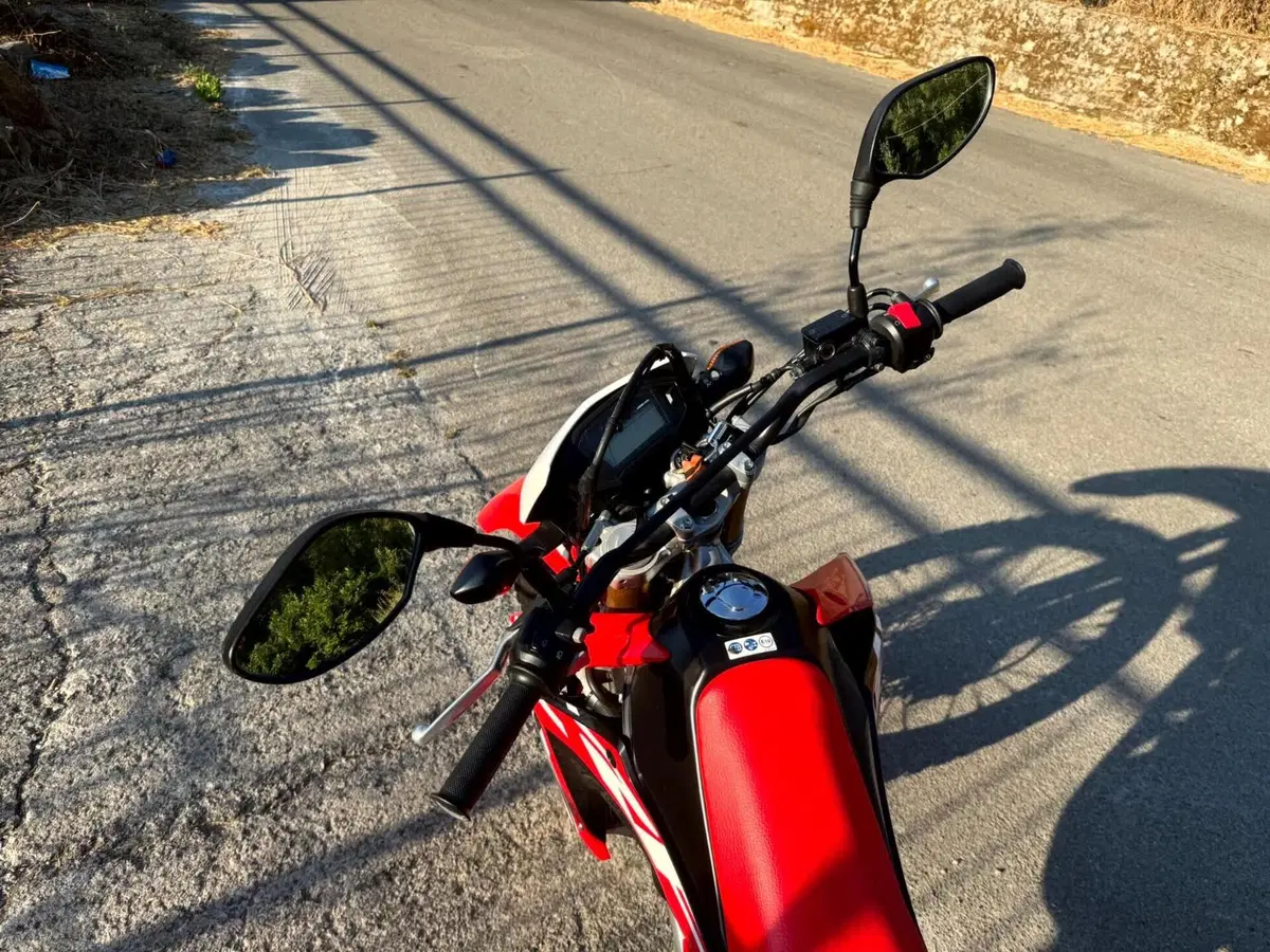 Honda CRF 250L (2017 - 20) (10)