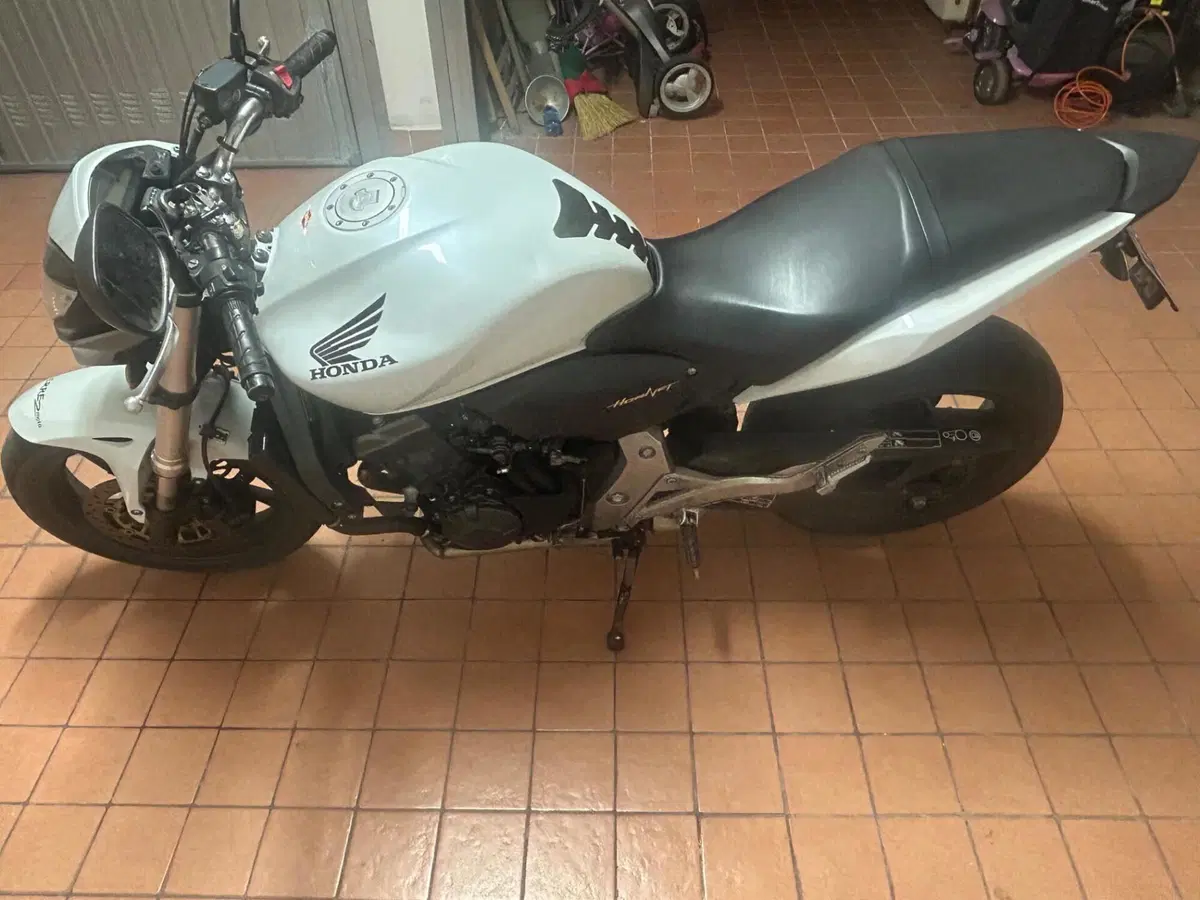 Honda Hornet 600 (2011 - 13) (2)