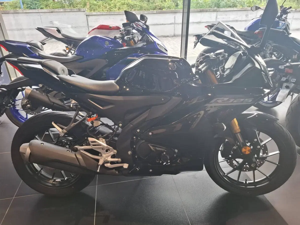Yamaha YZF R125 (2023 - 26) (2)