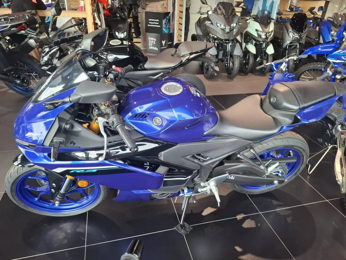 Yamaha YZF R3 (2025 - 26)