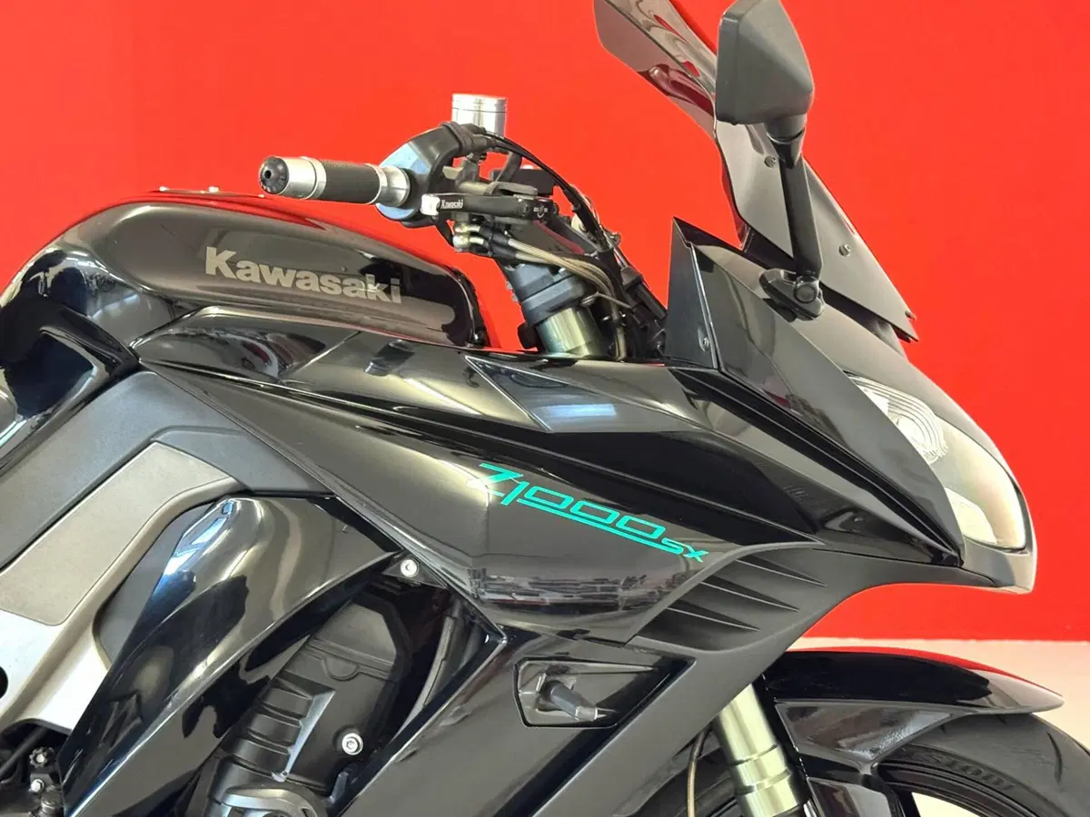 Kawasaki Z 1000 SX (2011 - 13) (10)