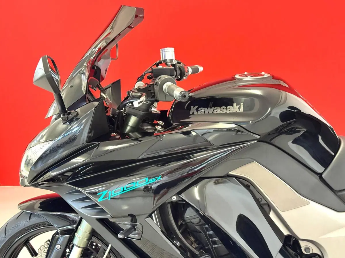 Kawasaki Z 1000 SX (2011 - 13) (15)