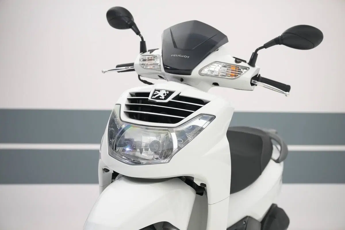Peugeot LXR 125 (2009 - 15) (6)