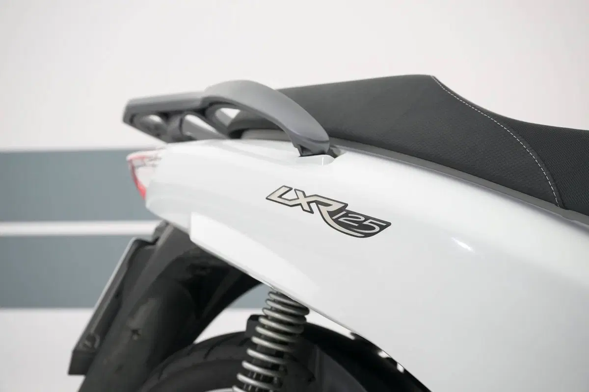 Peugeot LXR 125 (2009 - 15) (8)