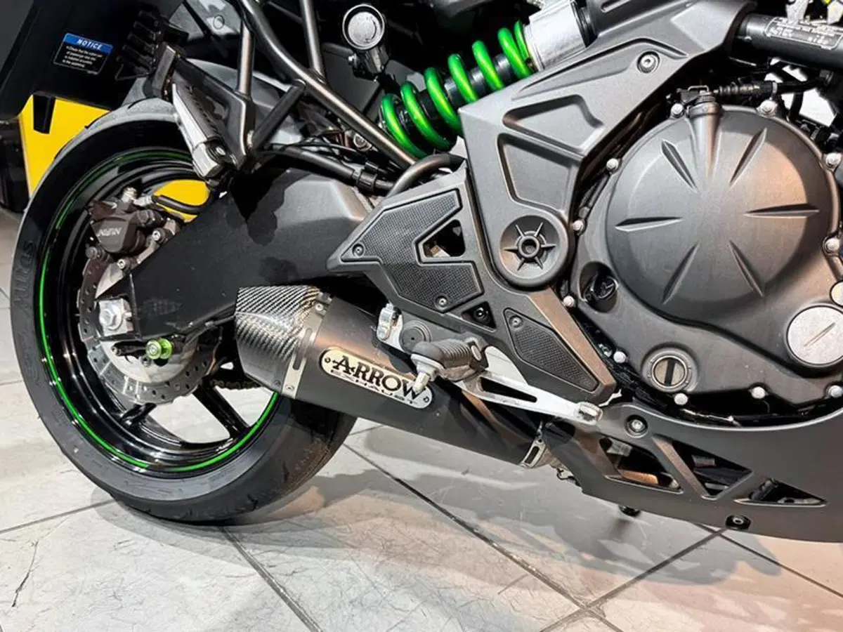 Kawasaki Versys 650 (2017 - 20) (3)