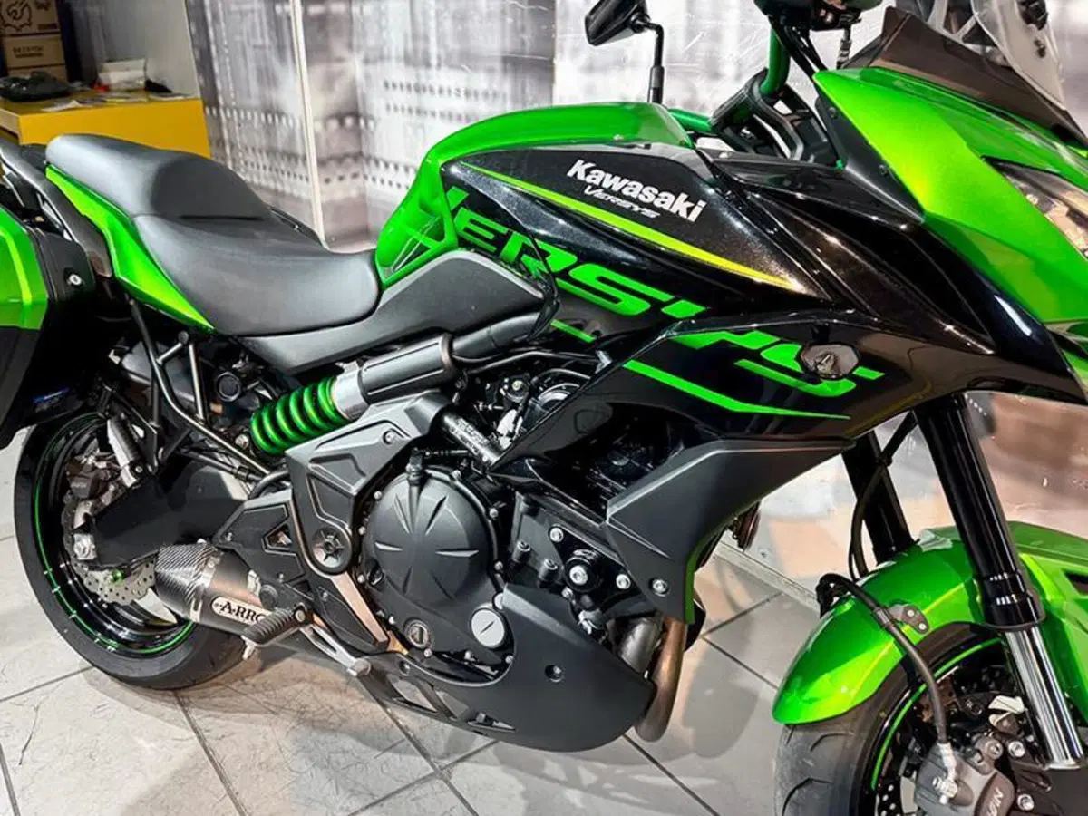 Kawasaki Versys 650 (2017 - 20) (6)