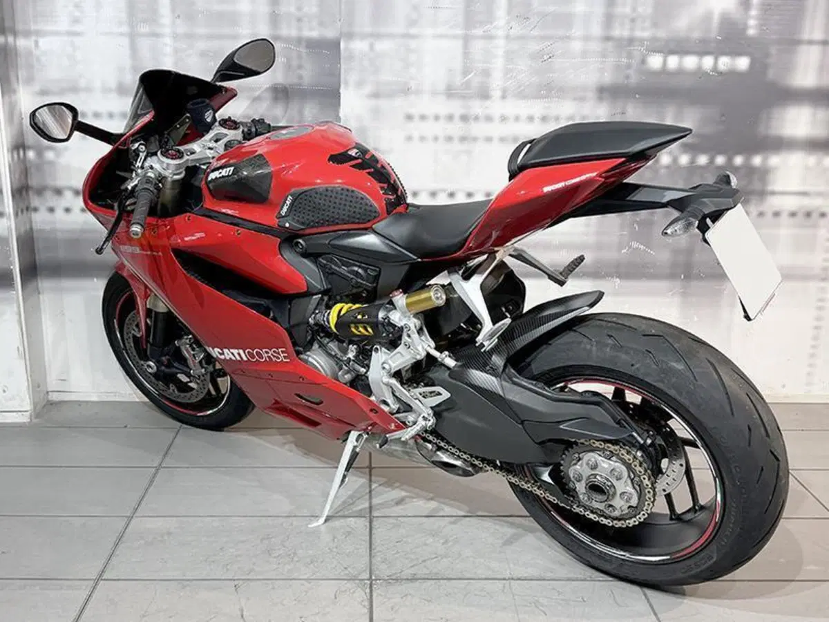 Ducati 1199 Panigale (2012 - 13) (2)