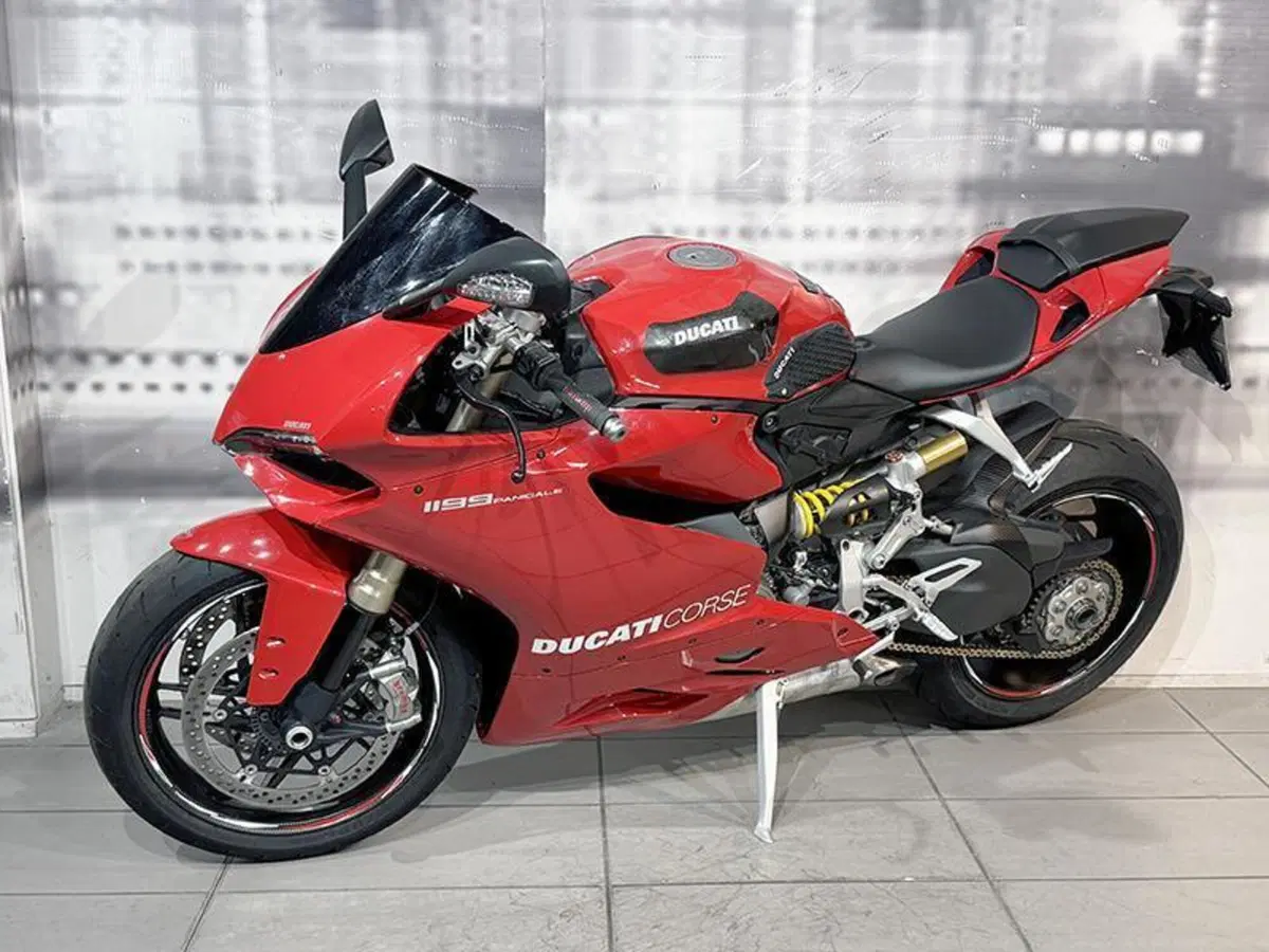 Ducati 1199 Panigale (2012 - 13) (7)