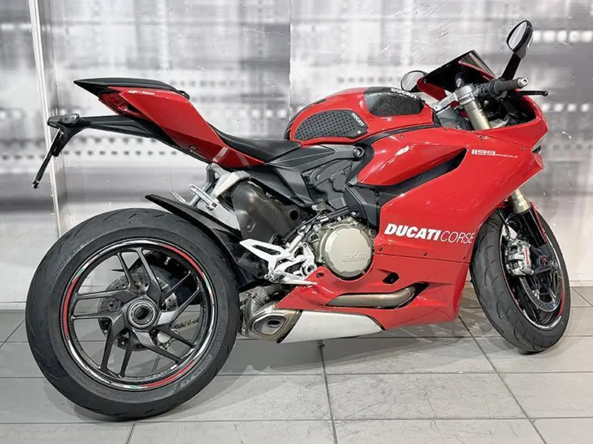 Ducati 1199 Panigale (2012 - 13) (8)