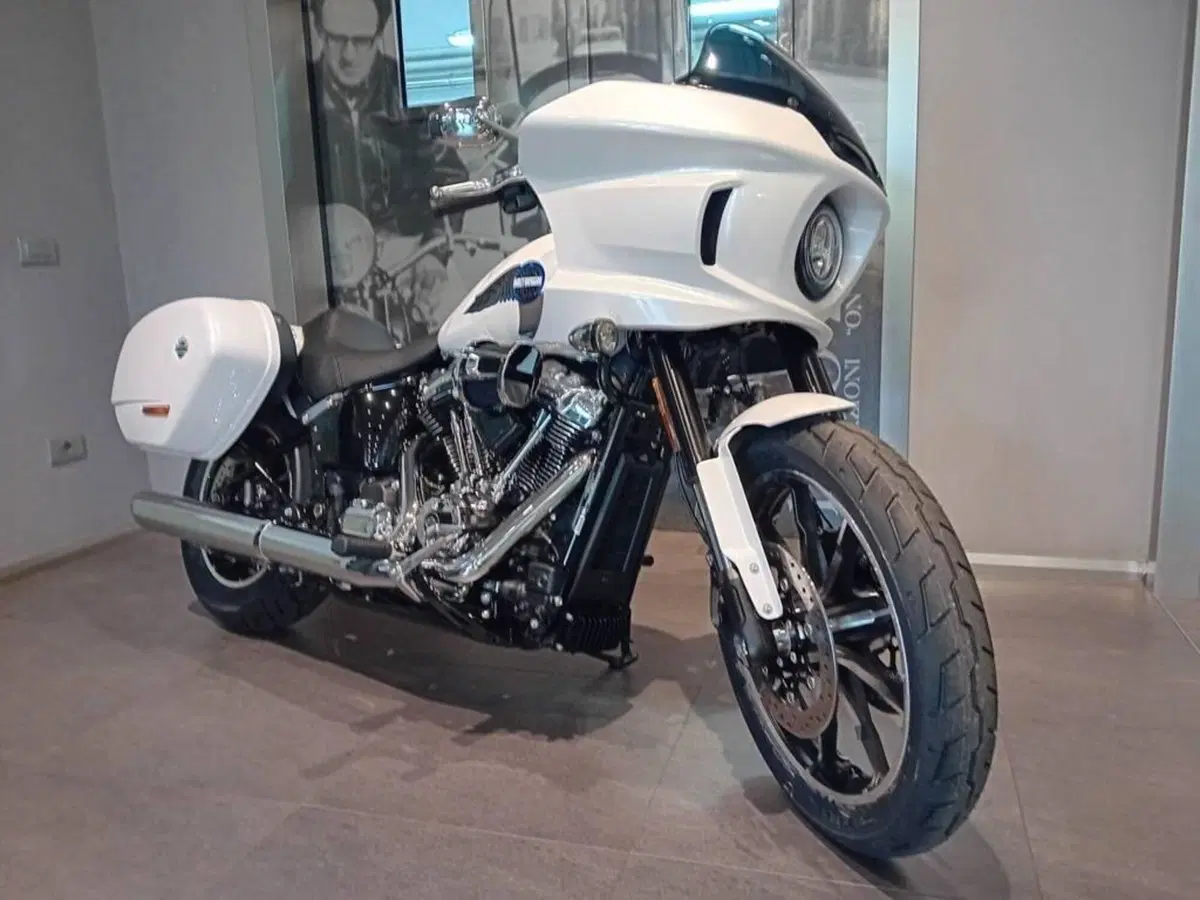 Harley-Davidson Low Rider ST (2025 - 26) (3)
