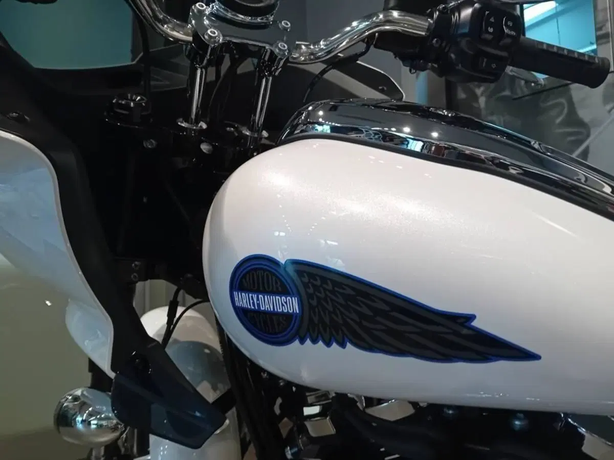 Harley-Davidson Low Rider ST (2025 - 26) (4)