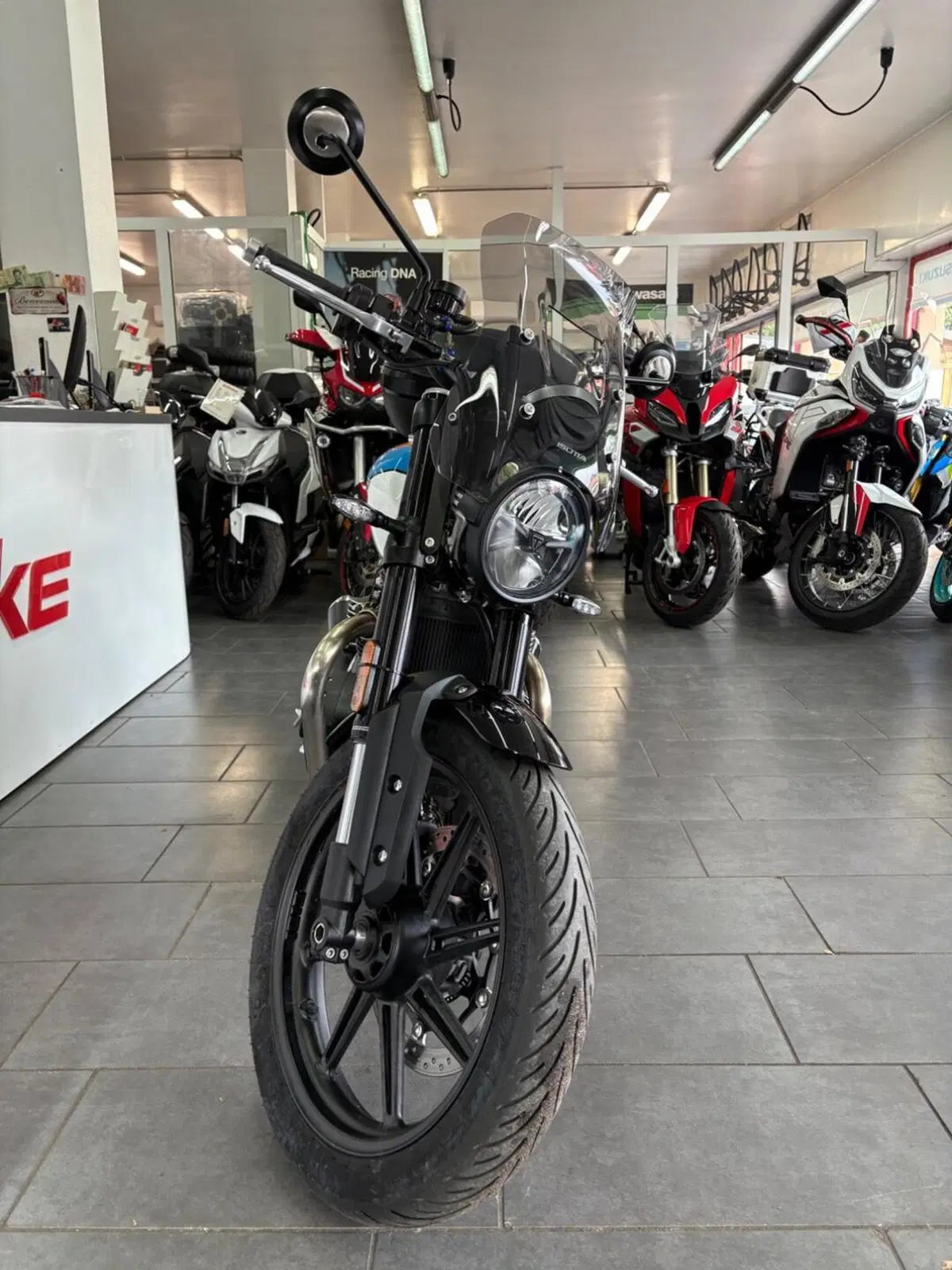Triumph Speed Twin 900 (2025 - 26) (3)