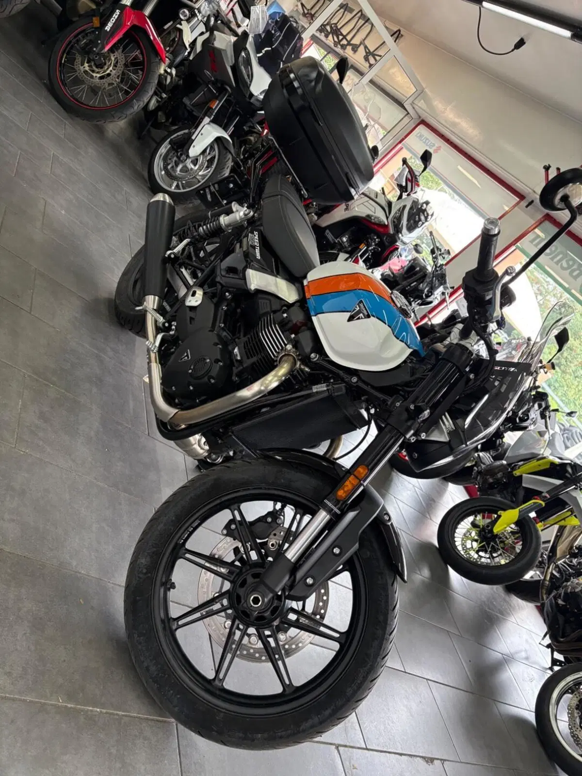 Triumph Speed Twin 900 (2025 - 26) (6)