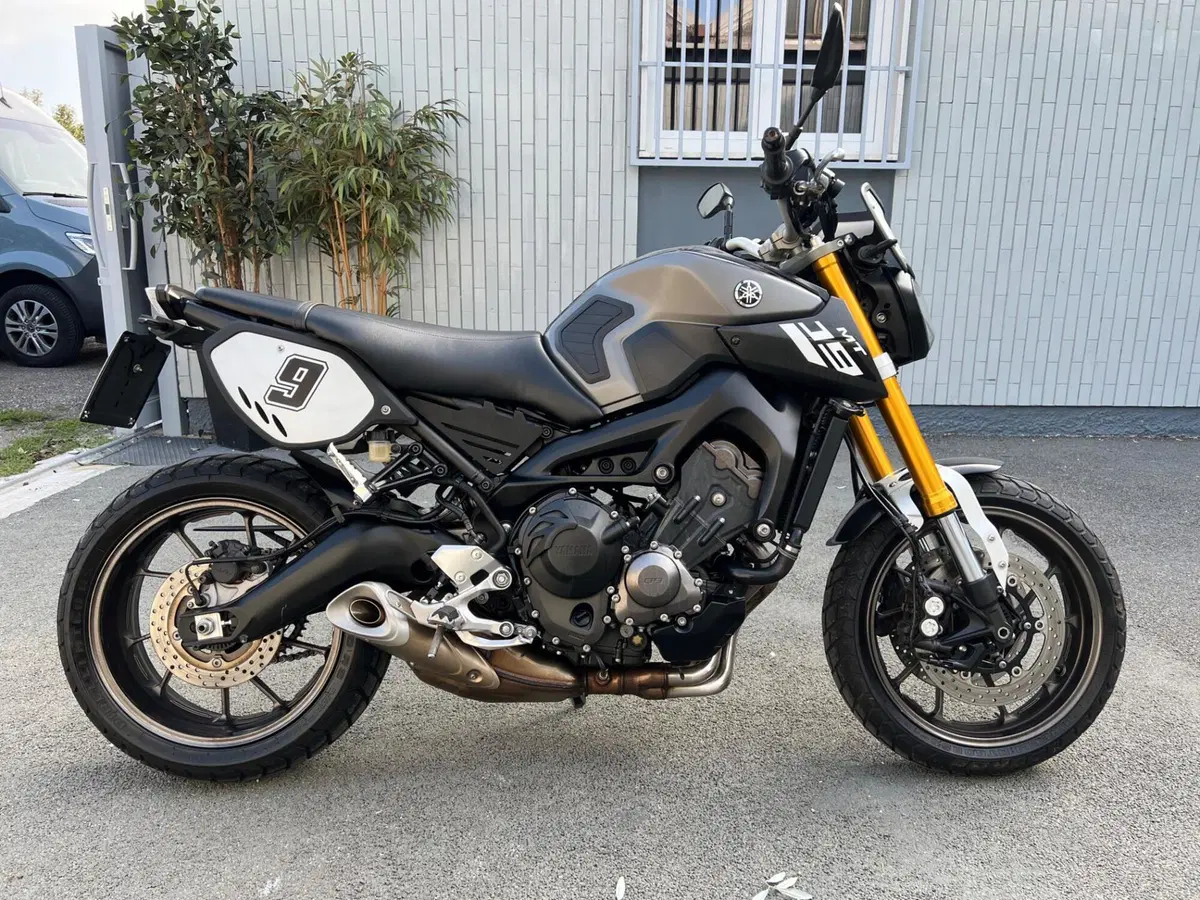 Yamaha MT-09 (2013 - 15) (2)