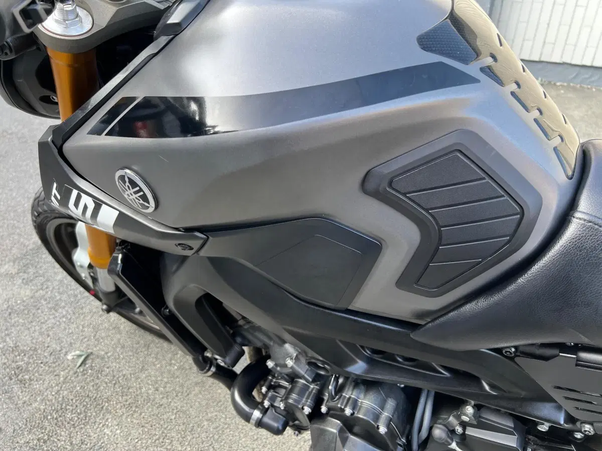 Yamaha MT-09 (2013 - 15) (7)