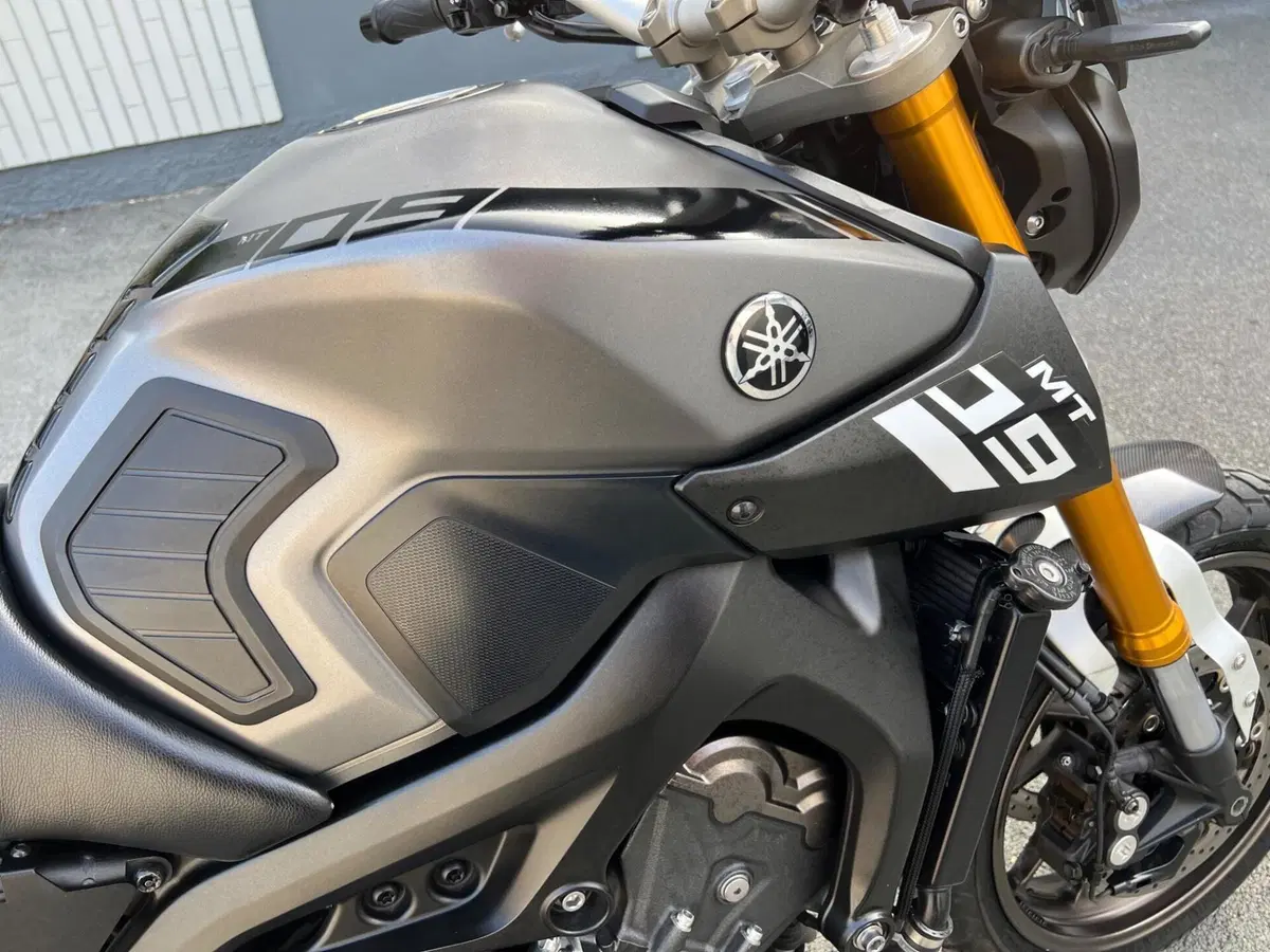 Yamaha MT-09 (2013 - 15) (8)
