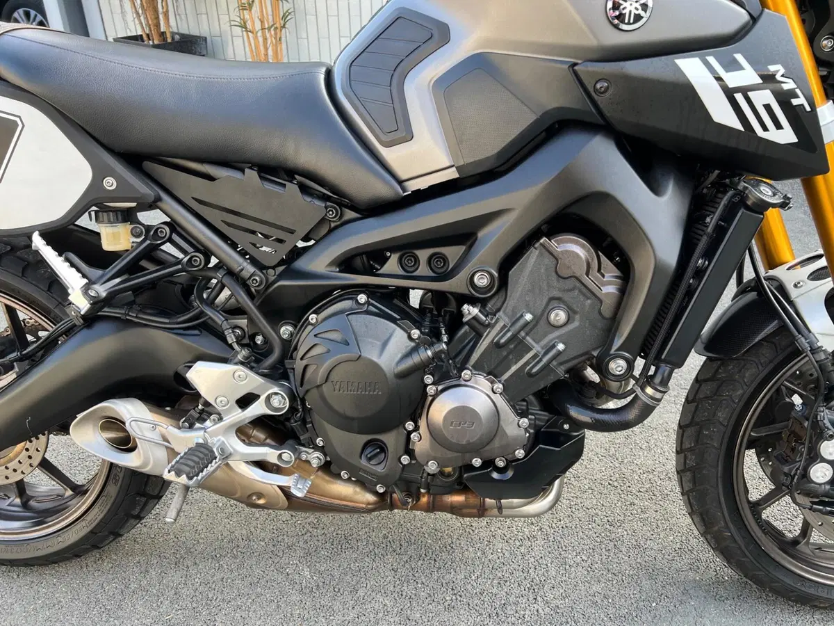Yamaha MT-09 (2013 - 15) (14)