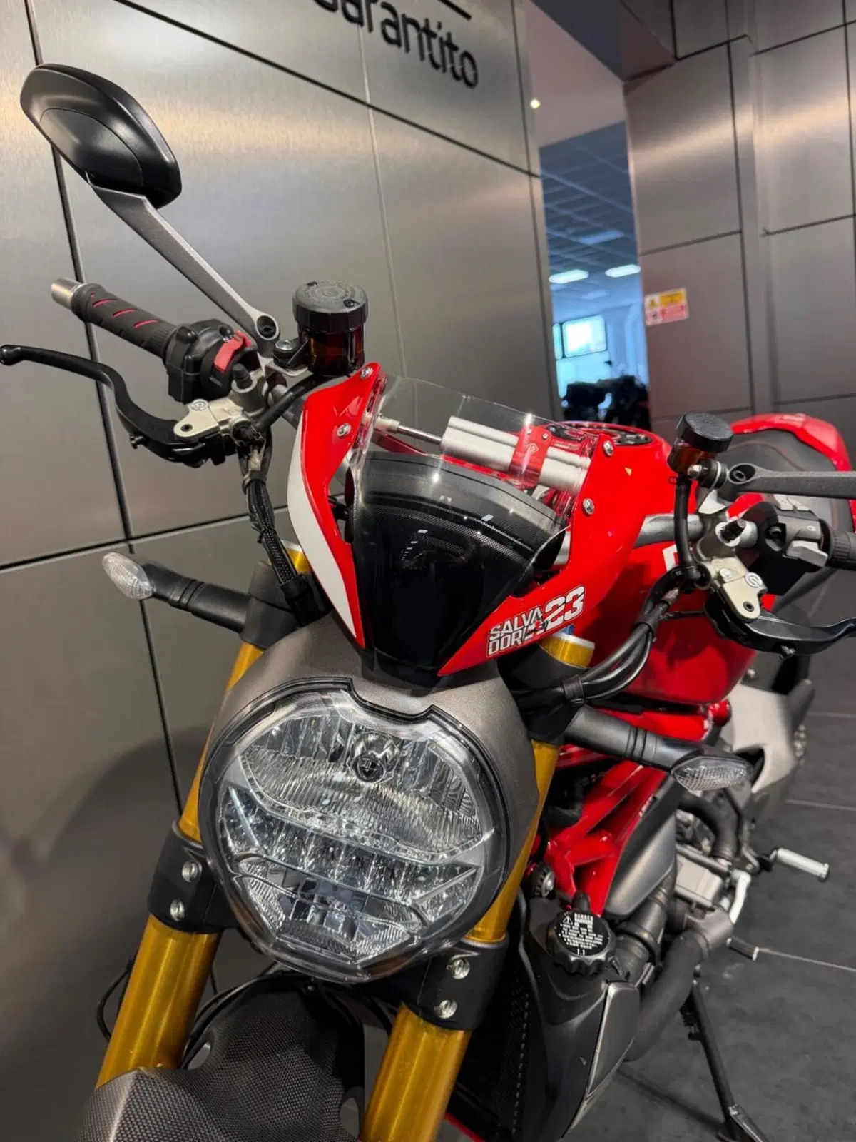 Ducati Monster 1200 S (2017 - 21) (9)