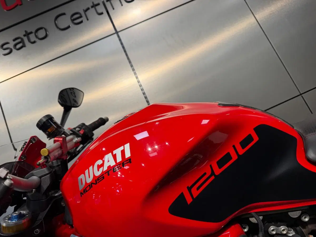 Ducati Monster 1200 S (2017 - 21) (20)