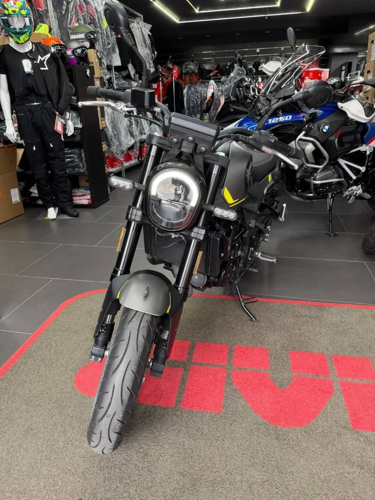 Benelli Leoncino 250 (2021 - 25) (2)