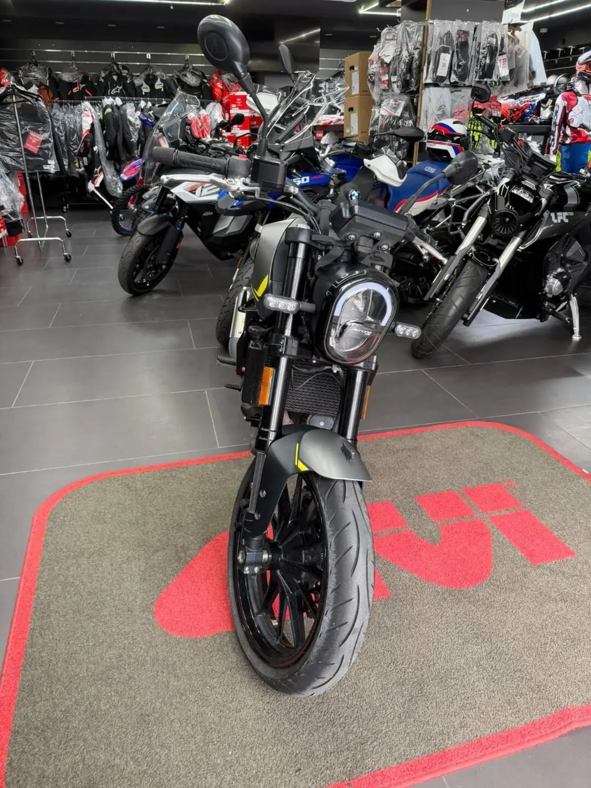 Benelli Leoncino 250 (2021 - 25) (4)