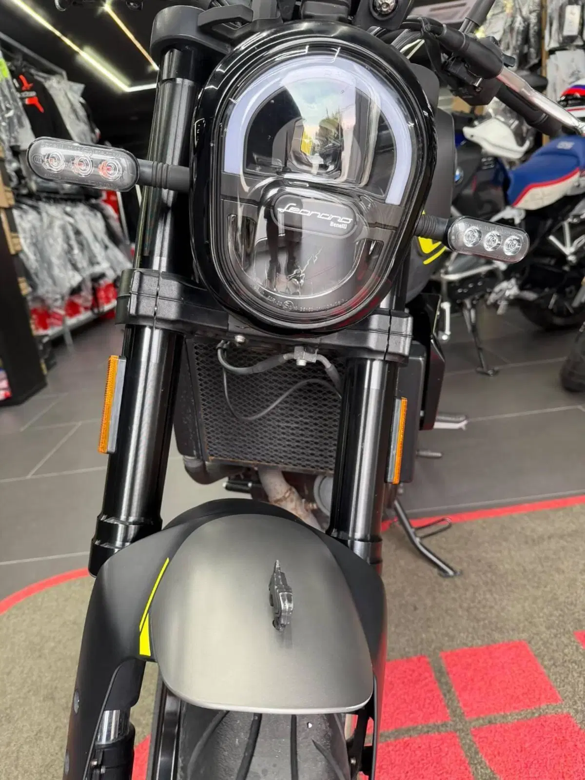Benelli Leoncino 250 (2021 - 25) (5)