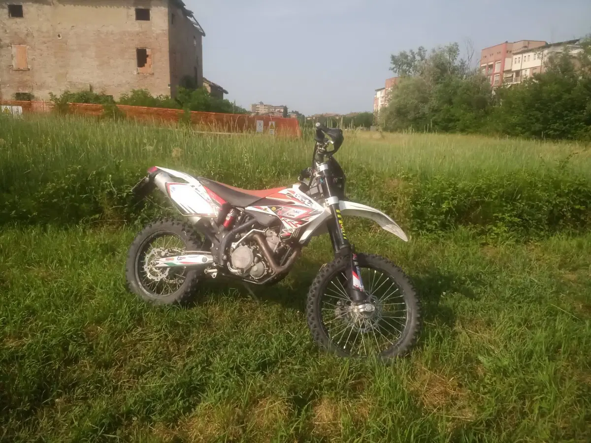 Betamotor RR 450 4T Enduro (2008) (2)