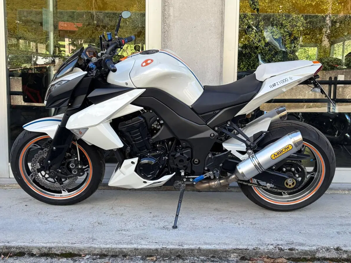Kawasaki Z 1000 (2010 - 13) (2)