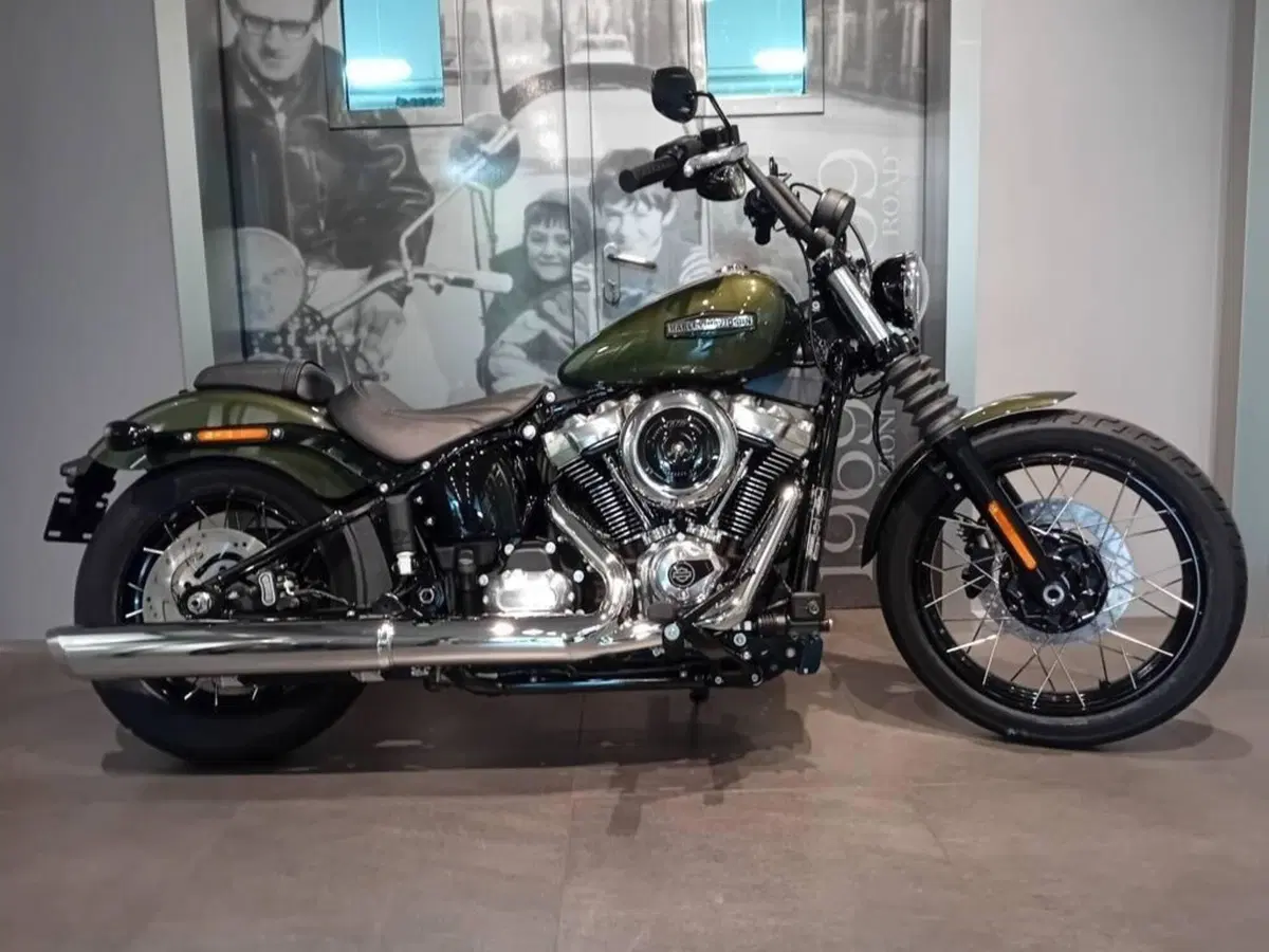 Harley-Davidson Street Bob 117 (2025 - 26)