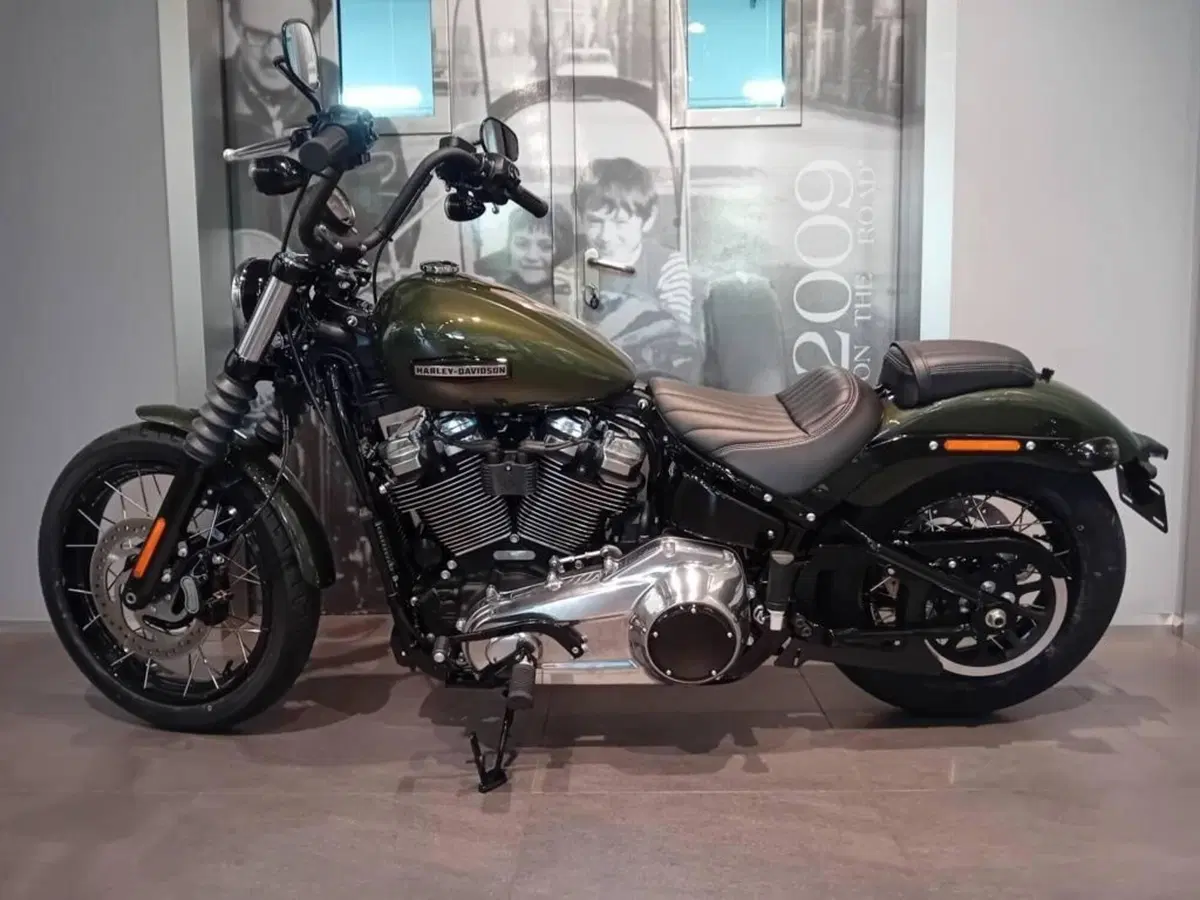 Harley-Davidson Street Bob 117 (2025 - 26) (2)