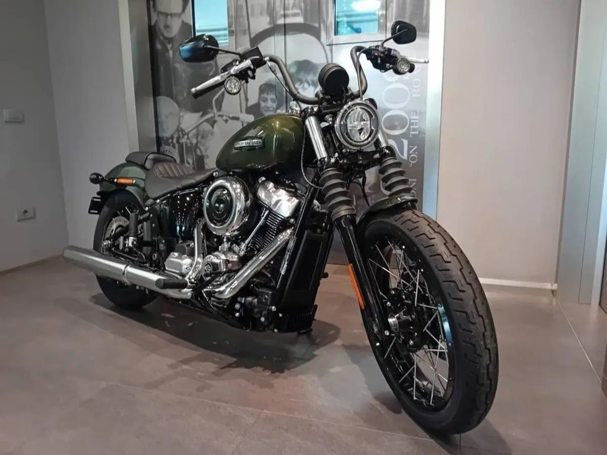 Harley-Davidson Street Bob 117 (2025 - 26) (3)