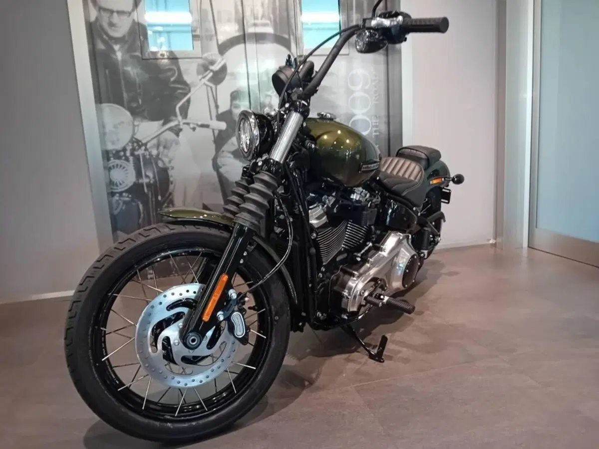 Harley-Davidson Street Bob 117 (2025 - 26) (4)