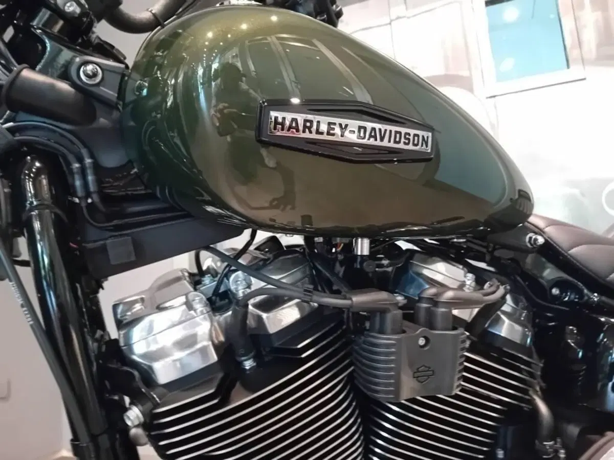 Harley-Davidson Street Bob 117 (2025 - 26) (5)