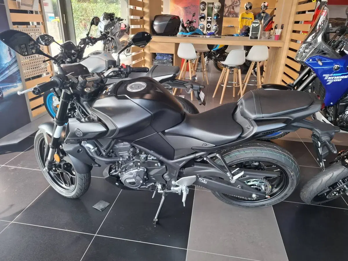 Yamaha MT-03 (2025 - 26) (2)