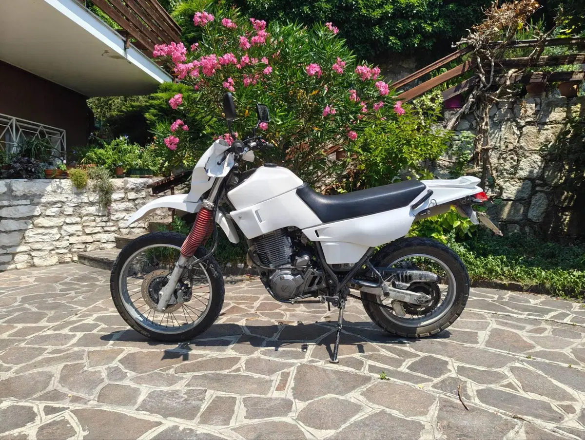 Yamaha XT 600 E (1990 - 04) (2)