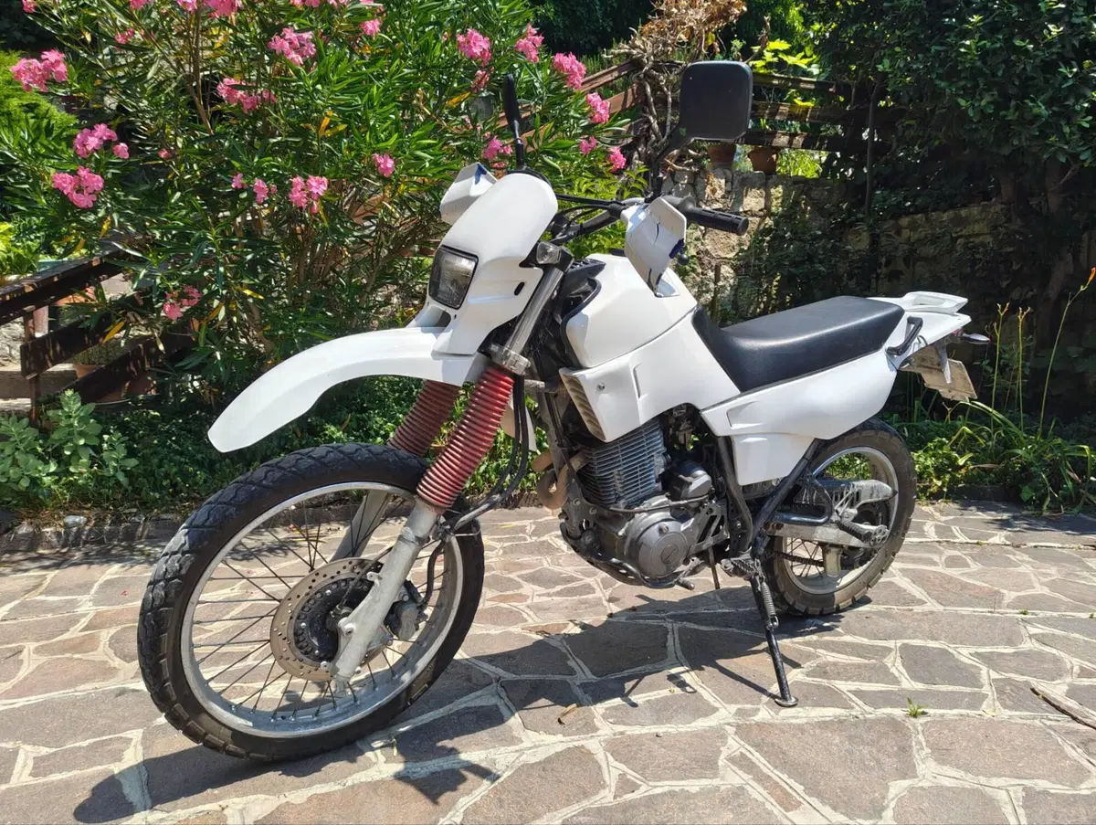 Yamaha XT 600 E (1990 - 04) (3)