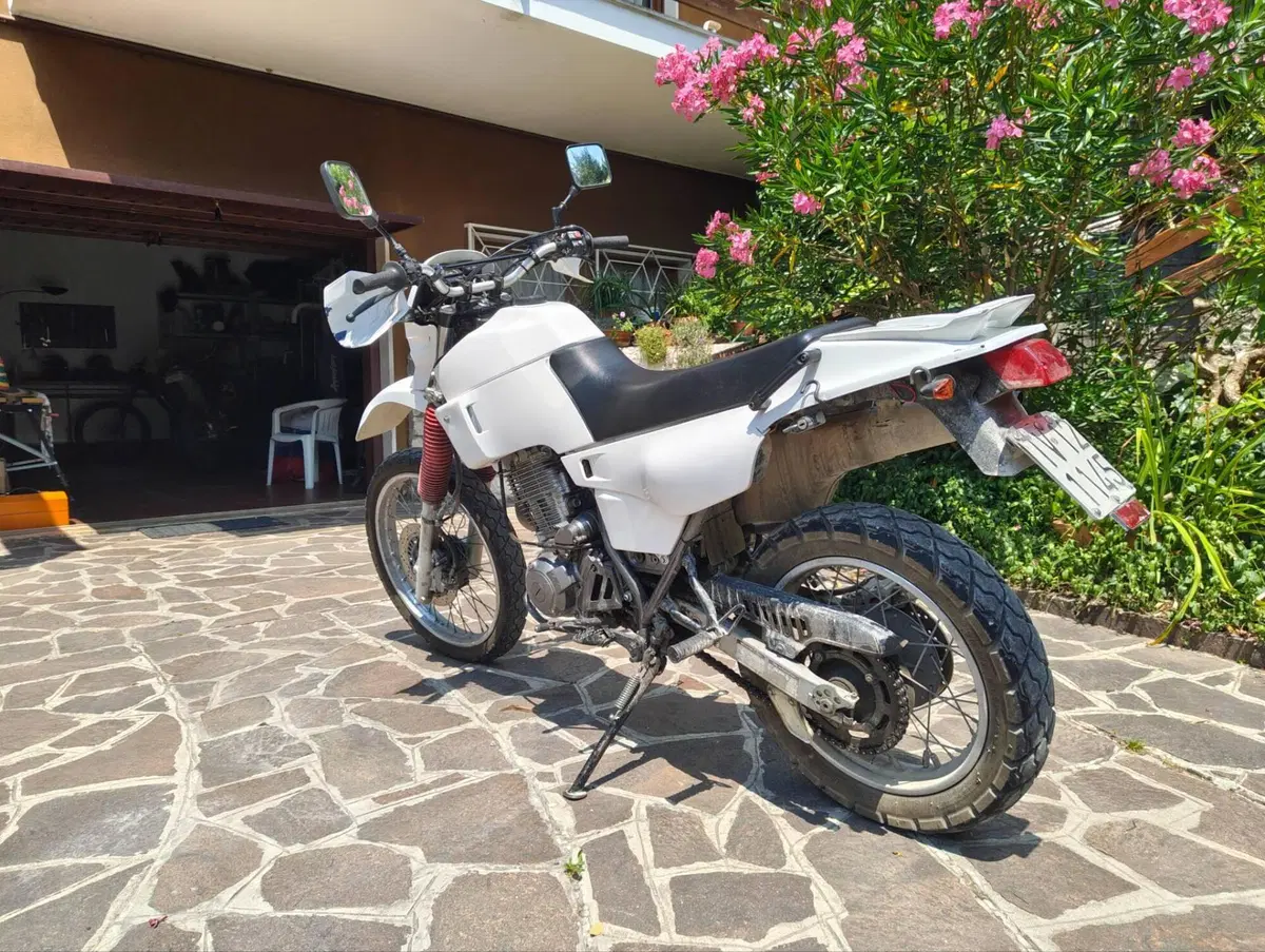 Yamaha XT 600 E (1990 - 04) (4)
