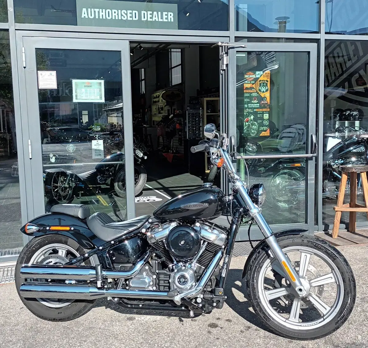 Harley-Davidson Softail Standard (2021 - 25)