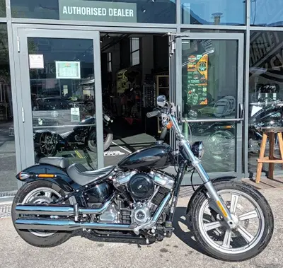 Harley-Davidson Softail Standard (2021 - 25) usata