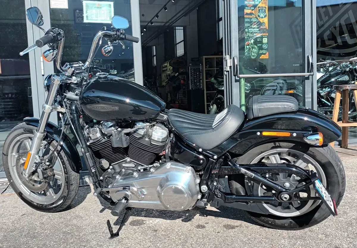 Harley-Davidson Softail Standard (2021 - 25) (2)