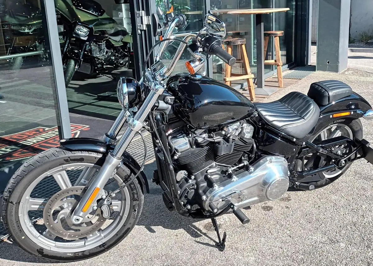 Harley-Davidson Softail Standard (2021 - 25) (3)